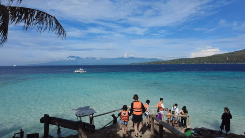 Oslob: Whale Sharks, Tumalog Falls & Sumilon Trio Adventure - FAQ