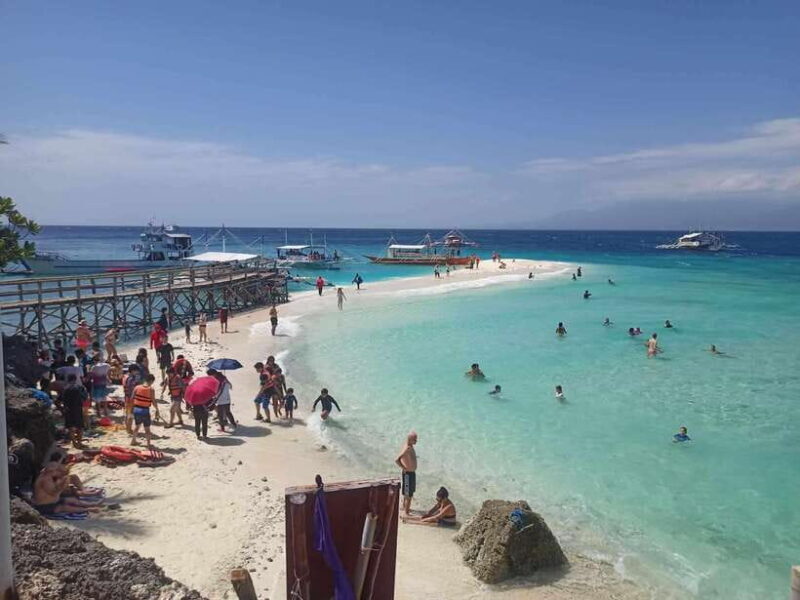 Oslob: Whale Sharks, Tumalog Falls & Sumilon Trio Adventure - Key Points