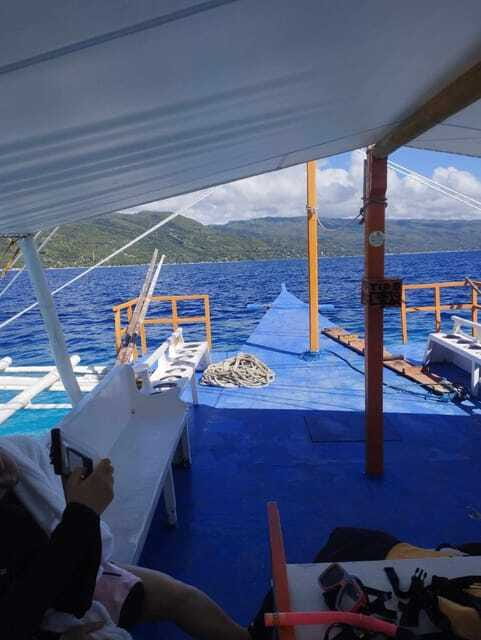 Oslob: Whale Sharks, Tumalog Falls & Sumilon Trio Adventure - FAQ