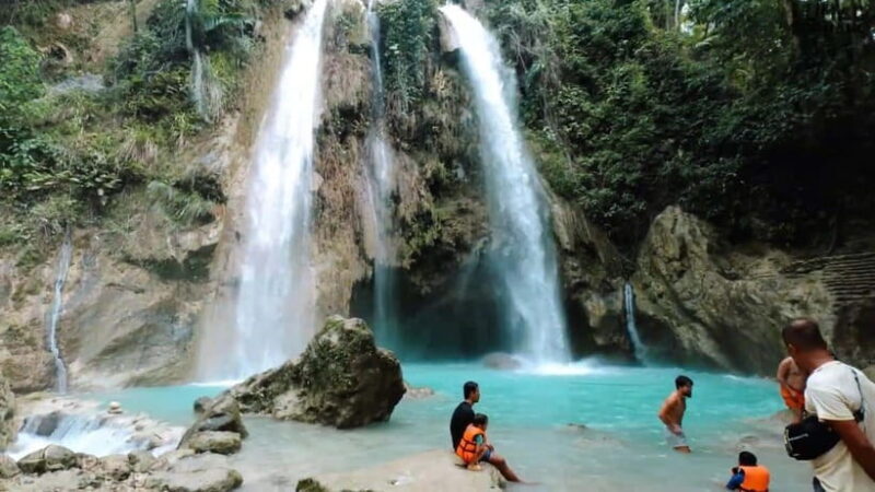 Oslob: Whaleshark Swimming, Inambakan Falls & Moalboal Tour - An In-Depth Look at the Tour Experience