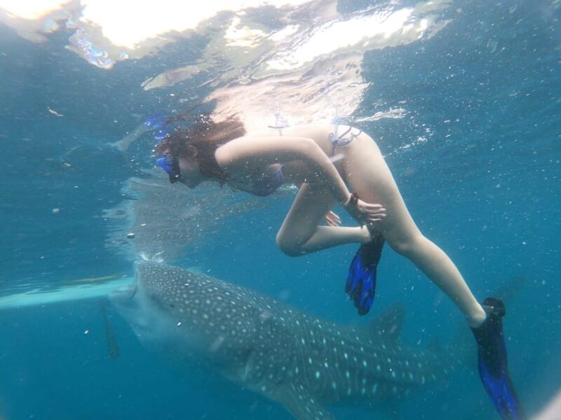 Oslob Whaleshark Watching & Inambakan Falls & Sardines Run - Included Amenities