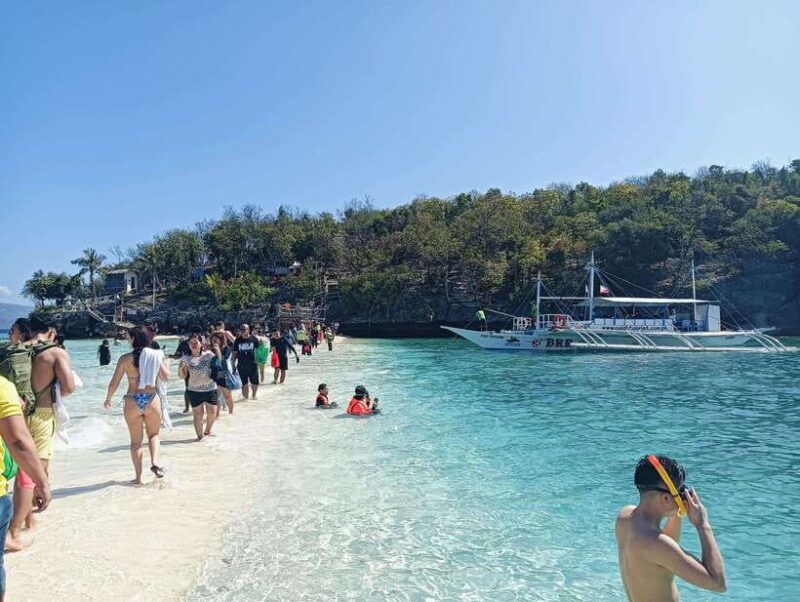 Oslob: Whaleshark Watching, Tumalog Falls & Sumilon Island - What the Tour Offers: A Detailed Breakdown