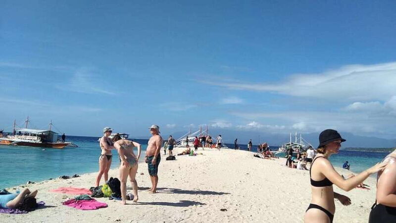 Oslob: Whaleshark Watching, Tumalog Falls & Sumilon Island - Who Would Enjoy This Tour?