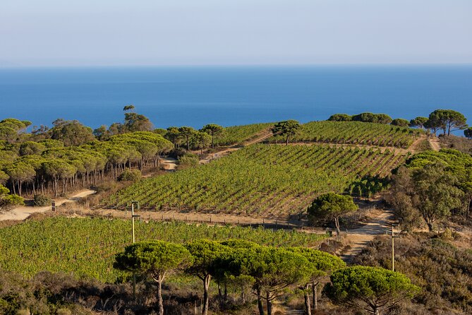 Osteria Senzoste: Not an Ordinary Osteria at Tenuta Delle Ripalte - Accessibility and Inclusivity