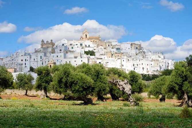 Ostuni, Alberobello, and Polignano a Mare. Departing From Lecce - Inclusions and Amenities