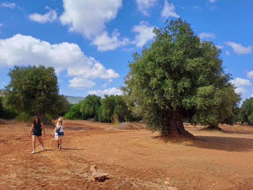 Ostuni: E-Bike Tour With a Glass of Wine & Bruschetta - Farmhouse Visit