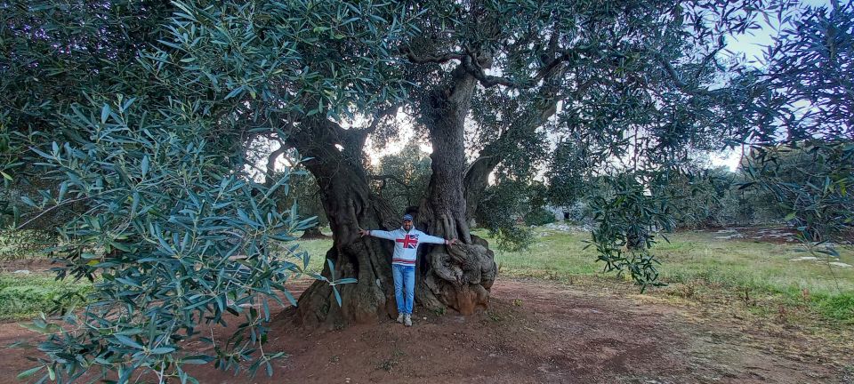 Ostuni: E-Bike Tour With a Glass of Wine & Bruschetta - Olive Cultivation