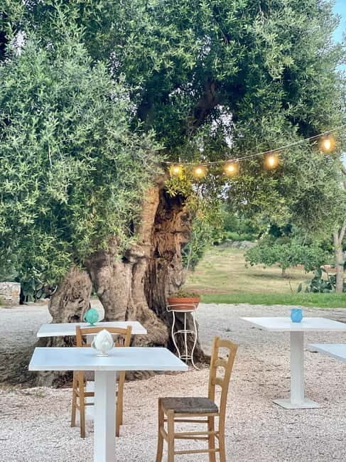 Ostuni: Farm tour among thousand-year-old olive trees with oil tasting - A Deep Dive into the Olive Oil Heritage of Ostuni