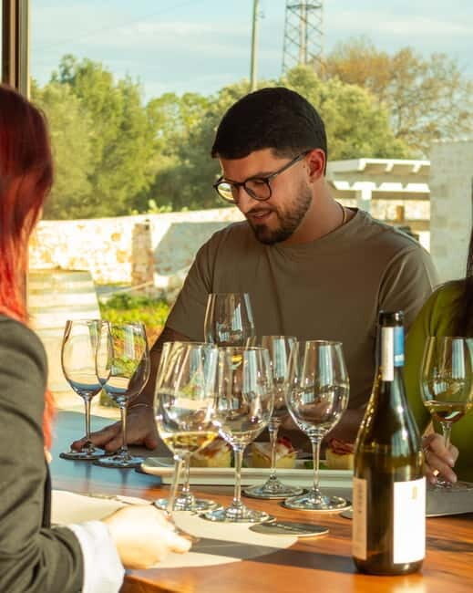 Ostuni organic wines - tour and tasting in the winery - Key Points