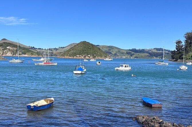 Otago Harbour by Bike: A Self Guided Tour - An Authentic Way to Experience Otago Harbour