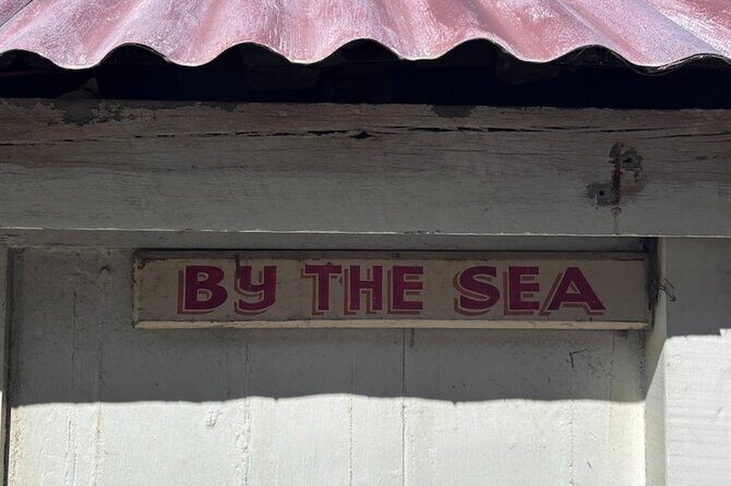 Otago Harbour by Bike: A Self Guided Tour - Authentic Experiences and Why They Matter