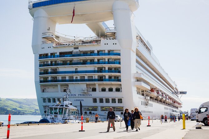 Otago Harbour Wildlife Cruise (Dunedin Shore Excursion) - Booking Tips