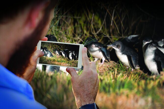 Otago Peninsula & Larnach Castle Shore Excursion - The Pick-up and Start: A Warm Welcome in The Octagon