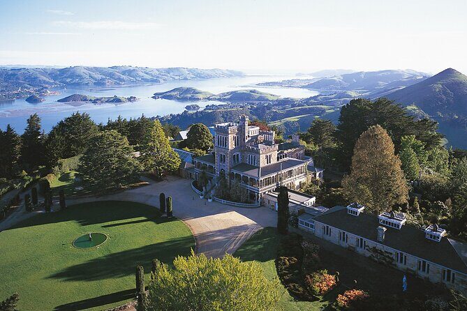 Otago Peninsula & Larnach Castle Shore Excursion - Signal Hill: Panoramic Views and Photo Stops