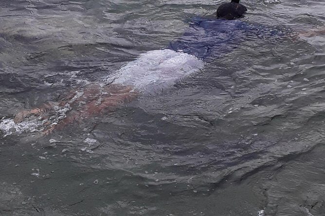 Other side of heaven Eco friendly snorkeling adventure - The Sum Up