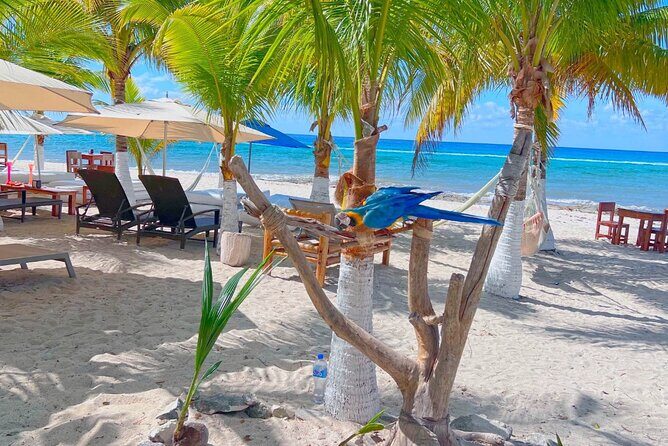 Otoch Mayan Experience Tour: Cultural & Historical Adventure - Who Is This Tour Best For?