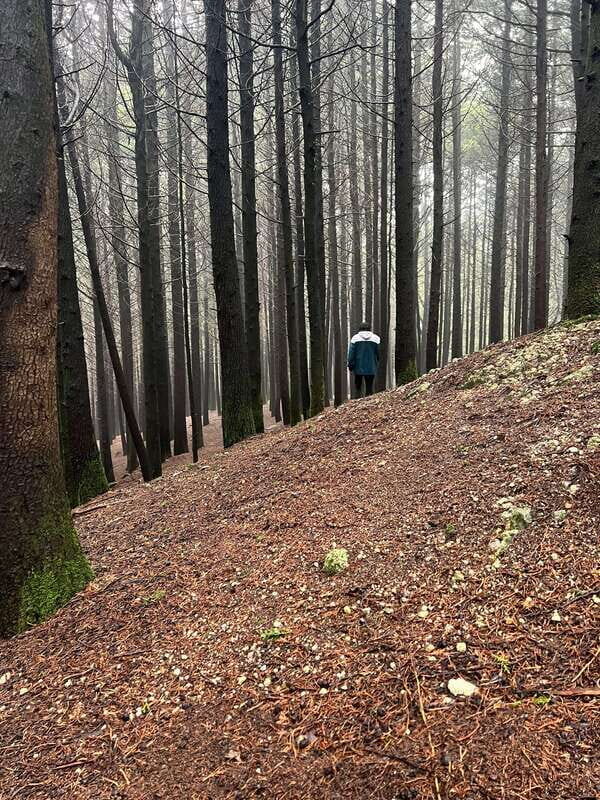 Otomí Ceremonial Center Daytrip - Who Should Consider This Tour?