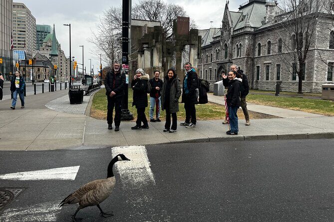 Ottawa City Highlights 3 Hour Walking Tour | Gratuity-Based - Additional Information