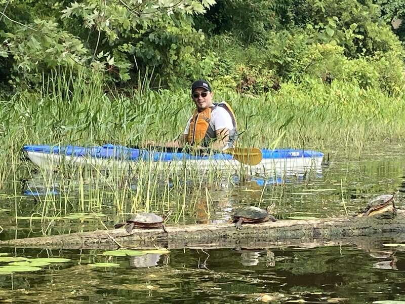Ottawa: Ecological Reserve Kayak Tour with Turtle Sightings - Authentic Feedback from Participants