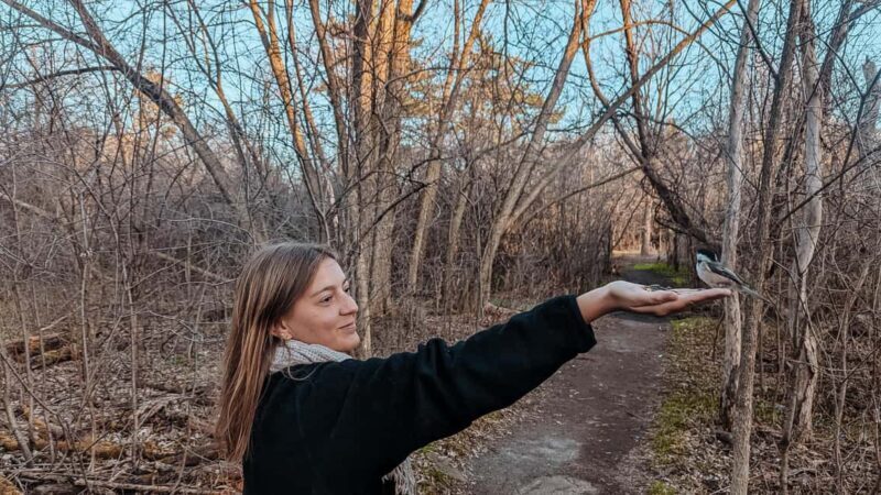Ottawa: Guided Nature Walk & Wildlife Tour with Hotel Pickup - Exploring Ottawa’s Natural Charm