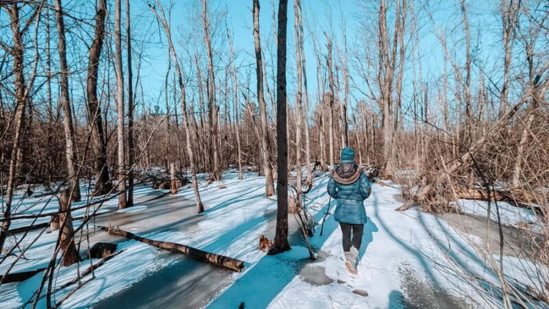 Ottawa: Guided Nature Walk & Wildlife Tour with Hotel Pickup - FAQs