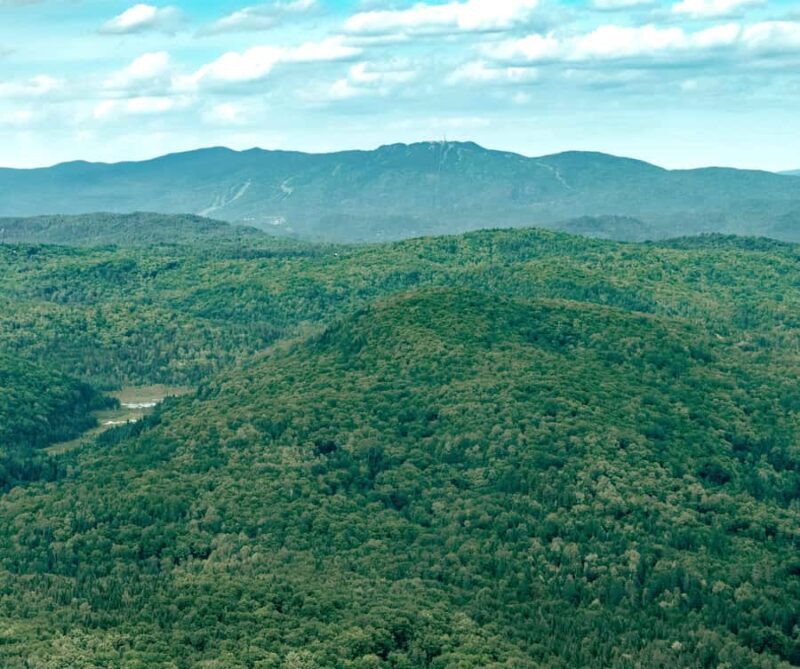 Ottawa Helicopter Tour: Fall Colors in Gatineau Park - The Sum Up