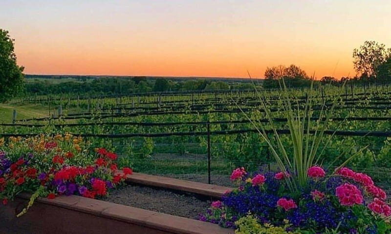 Ottawa: Local Wine and Cider Tour - The Sum Up: A Well-Rounded Day for Curious Drinkers