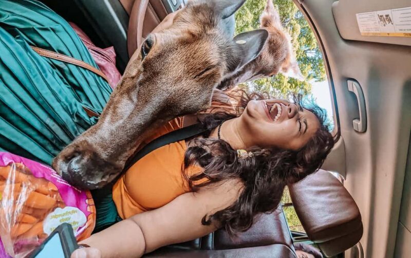 Ottawa: Private Wildlife Adventure Safari in Parc Omega - A Closer Look at the Safari Experience