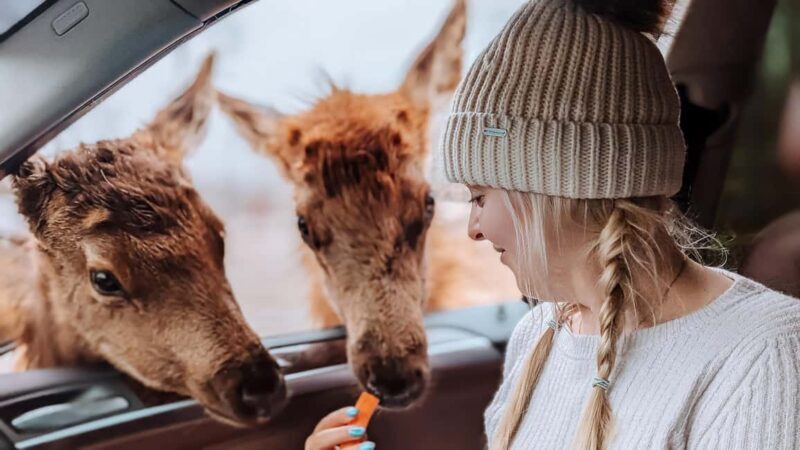 Ottawa: Private Wildlife Adventure Safari in Parc Omega - Why This Tour Offers Great Value