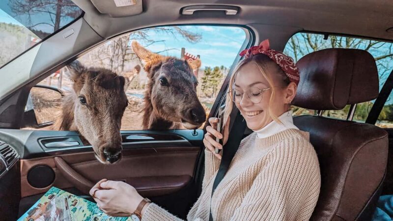 Ottawa: Private Wildlife Adventure Safari in Parc Omega - The Sum Up