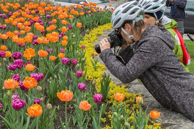 Ottawa Spring Tulip Festival Bike Tour - An In-Depth Look at the Tour Experience