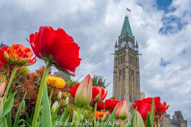 Ottawa Spring Tulip Festival Bike Tour - Practical Tips and Considerations