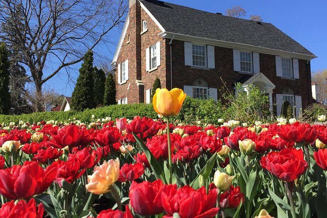 Ottawa Spring Tulip Festival Bike Tour - Who Will Love This Tour?