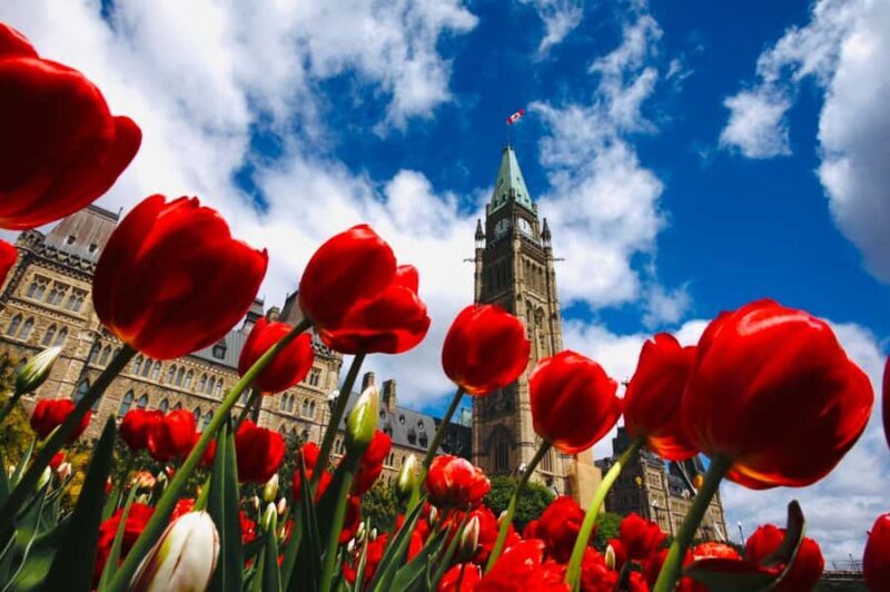 Ottawa: Tulip Festival and ByWard Market Tour - Key Points