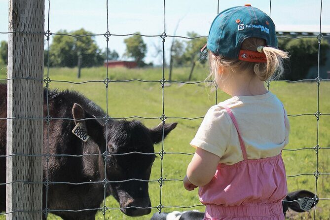 Ottawa Valleyview Little Animal Farm Tour - Why This Tour Offers Value and Authenticity