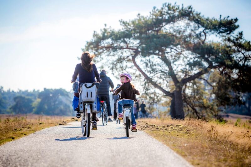 Otterlo: De Hoge Veluwe National Park Entry Ticket - Accessibility Options Available