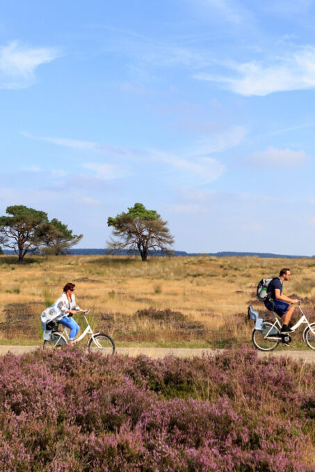 Otterlo: De Hoge Veluwe National Park Entry Ticket - Customer Ratings and Feedback