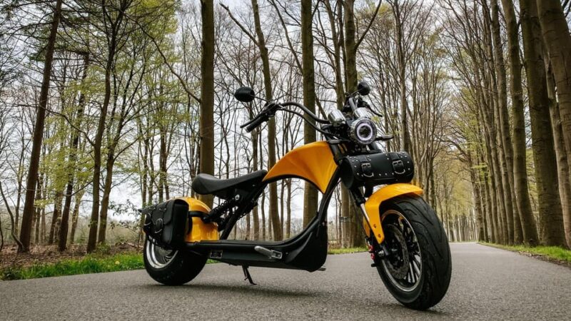Otterlo: E-Chopper Rental - Highlights of the Experience