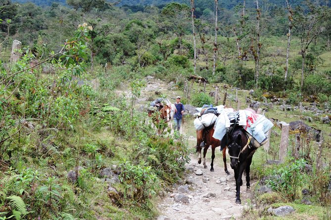 Otún Basin Crossing 3 Days 2 Nights - Included Amenities