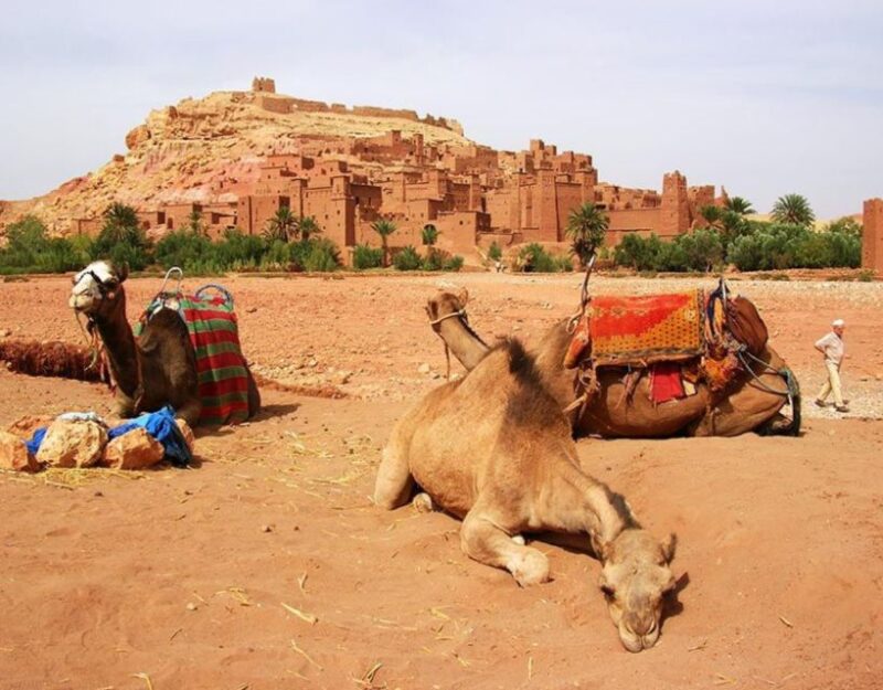 Ouarzazate Day Trip - Good To Know