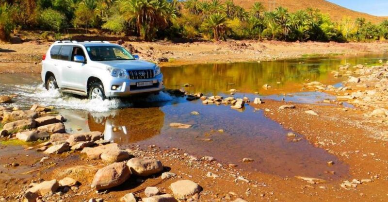 Ouarzazate: Private Full-Day Tour and Oasis Fint - Itinerary Highlights