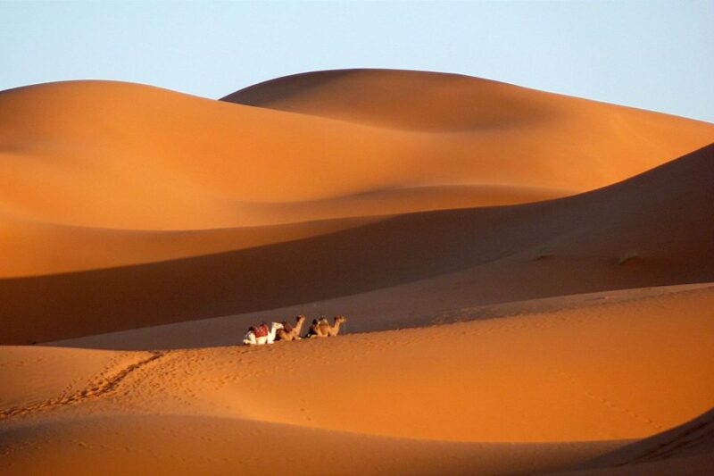 Ouarzazate: Tinfou Dunes, Camp & Camel Ride Day Trip - 1 Day - Transportation and Guidance