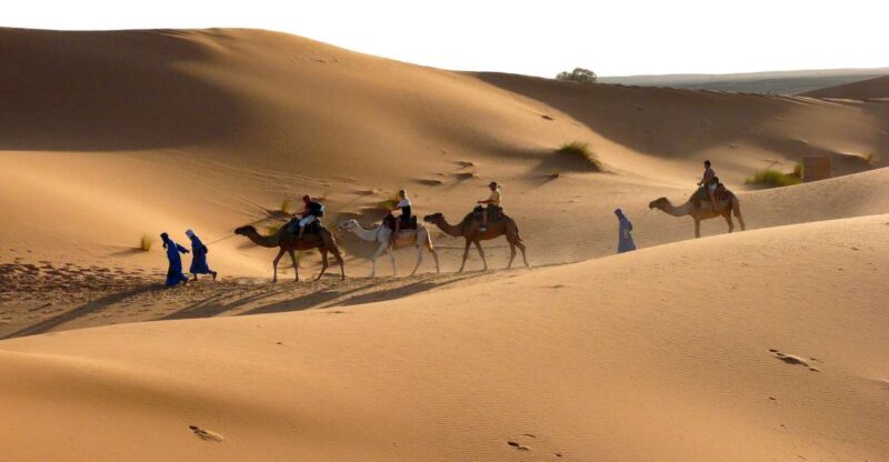Ouarzazate: Tinfou Dunes, Camp & Camel Ride Day Trip - 1 Day - What to Bring