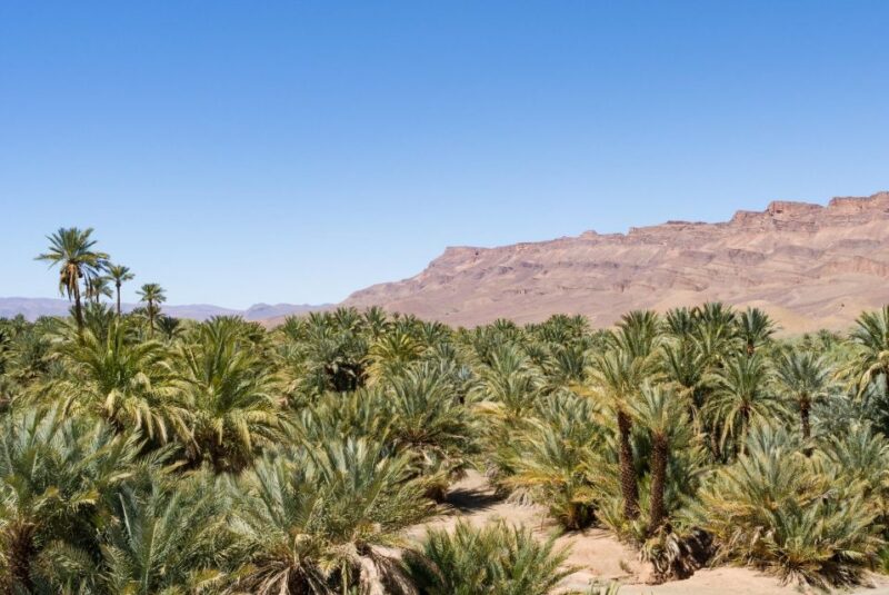 Ouarzazate: Tinfou Dunes, Camp & Camel Ride Day Trip - 1 Day - Free Time Activities