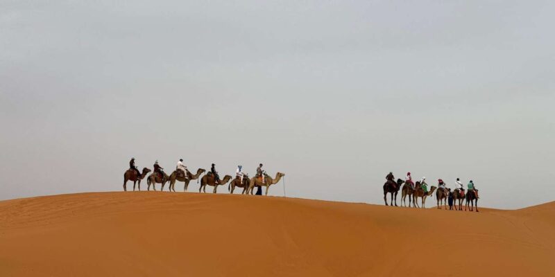 Ouarzazate to Fez via Merzouga Desert 3-Days Sahara Tour - Immersion in Merzouga Deserts Sand Dunes