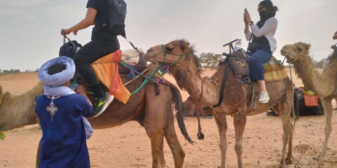 Ouarzazate to Fez via Merzouga Desert 3-Days Sahara Tour - Included Services and Additional Information