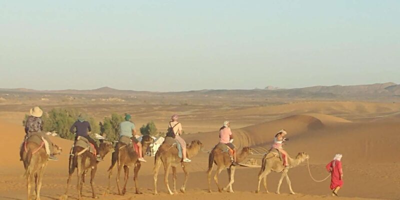 Ouarzazate to Marrakech 3-Day Desert Tour With Camel & Quad - Transport and Services