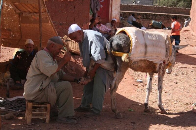 Ouirgan Berber Villages & Salt Mine Day Trip From Marrakech - Highlights of the Itinerary