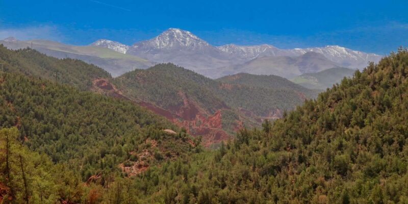 Ourika Valley: Private Day Trip - Itinerary and Activities