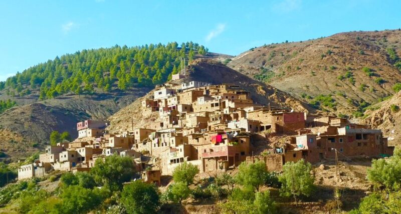 Ourika Valley With Atlas Mountains Day Trip From Marrakech - Good To Know